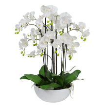 Load image into Gallery viewer, 92CM ORCHID IN CERAMIC POT
