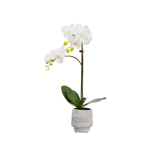 52cm Artificial Orchid in Concrete Pot