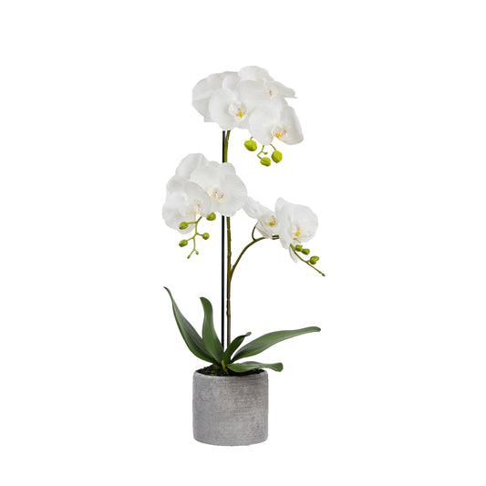 65cm Artificial Orchid in Concrete Pot