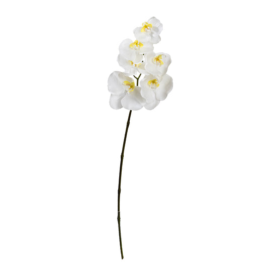 72cm Artificial Real Touch Phalaenopsis Orchid Cream