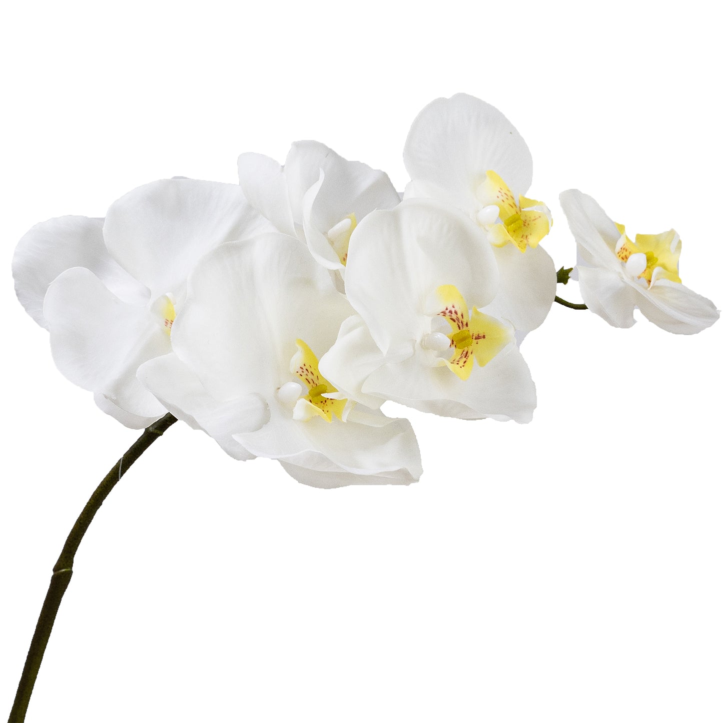 72cm Artificial Real Touch Phalaenopsis Orchid Cream