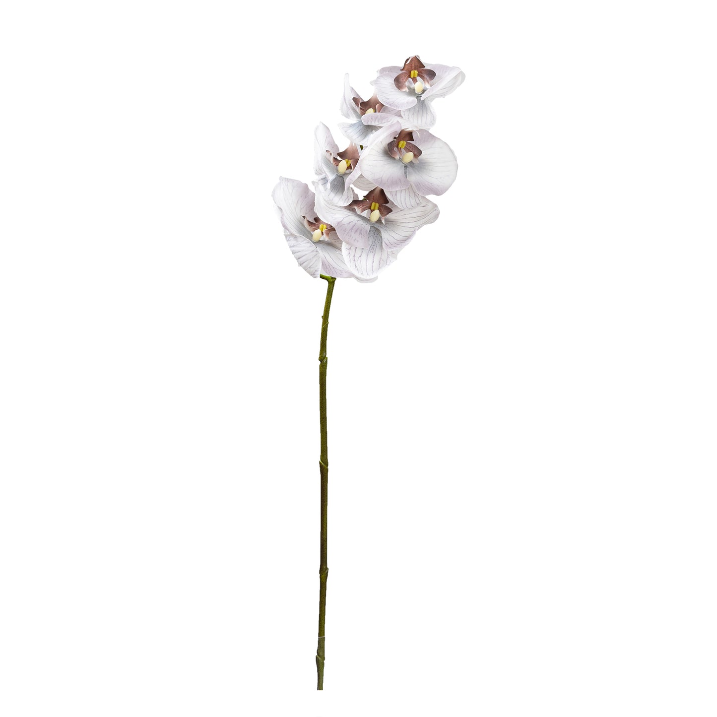 72cm Artificial Real Touch Phalaenopsis Orchid Grey