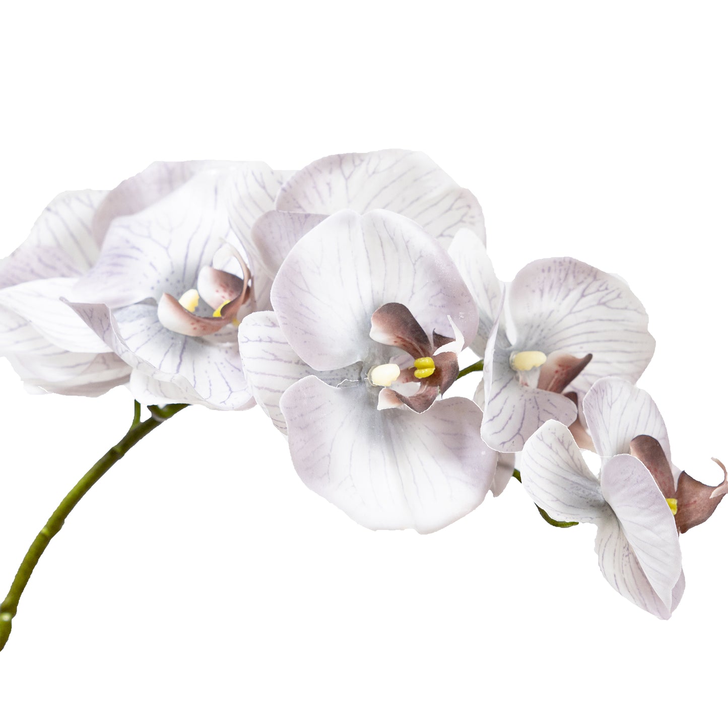 72cm Artificial Real Touch Phalaenopsis Orchid Grey