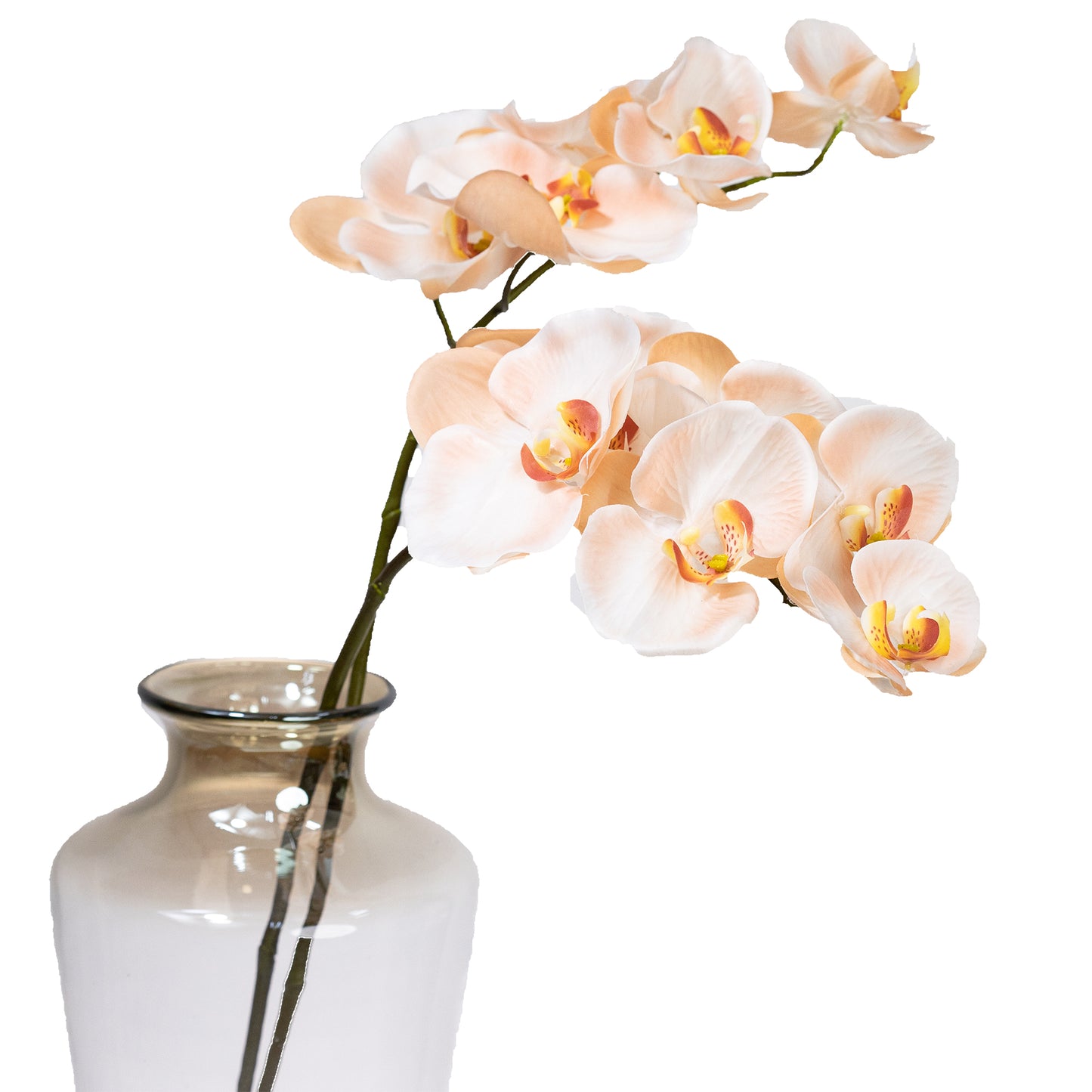 72cm Artificial Real Touch Phalaenopsis Orchid Light Salmon