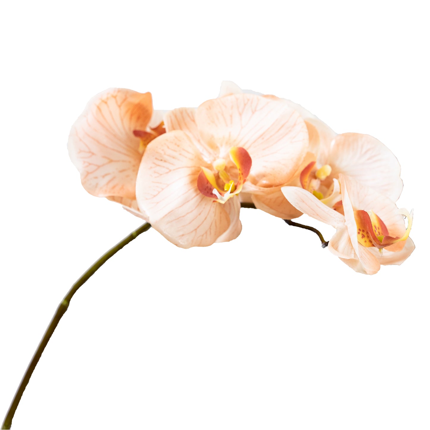 72cm Artificial Real Touch Phalaenopsis Orchid Salmon