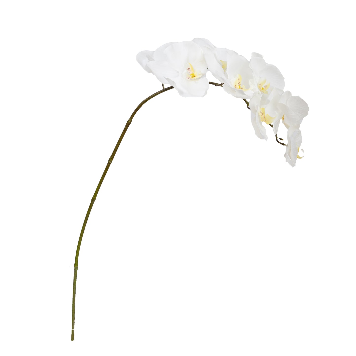 84cm Artificial Real Touch Phalaenopsis Orchid Cream