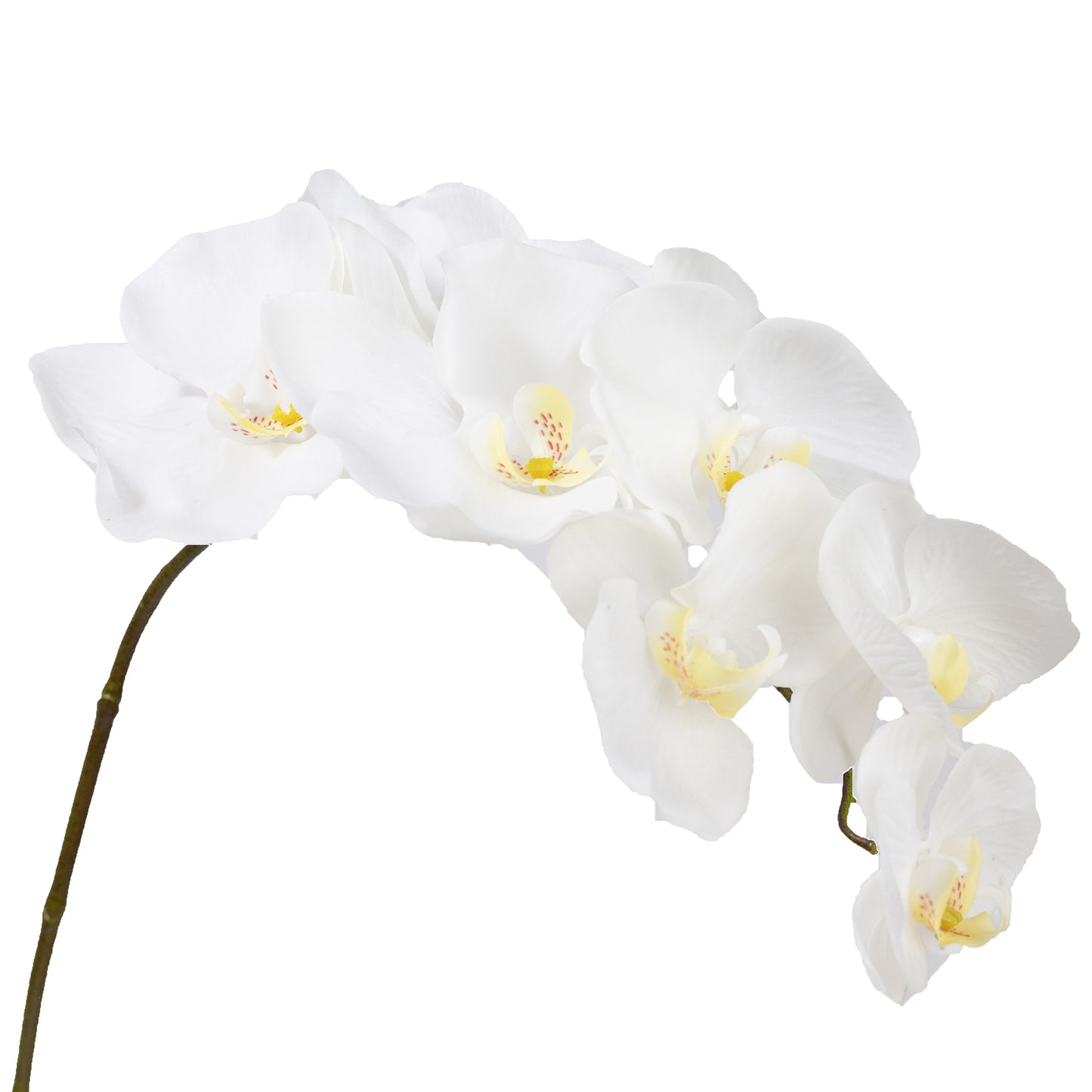 84cm Artificial Real Touch Phalaenopsis Orchid Cream