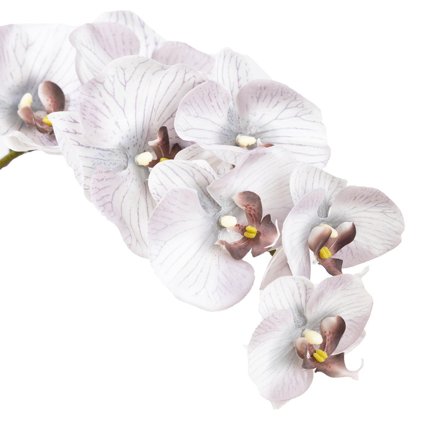 84cm Artificial Real Touch Phalaenopsis Orchid Grey