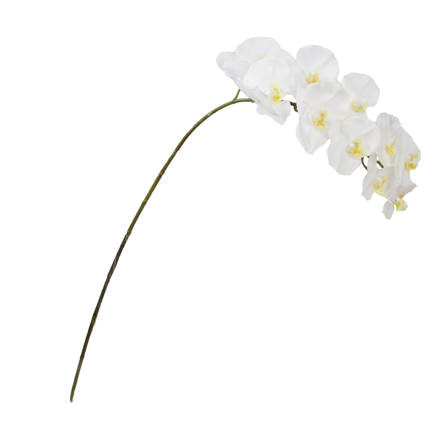 105cm Artificial Real Touch Phalaenopsis Orchid Cream