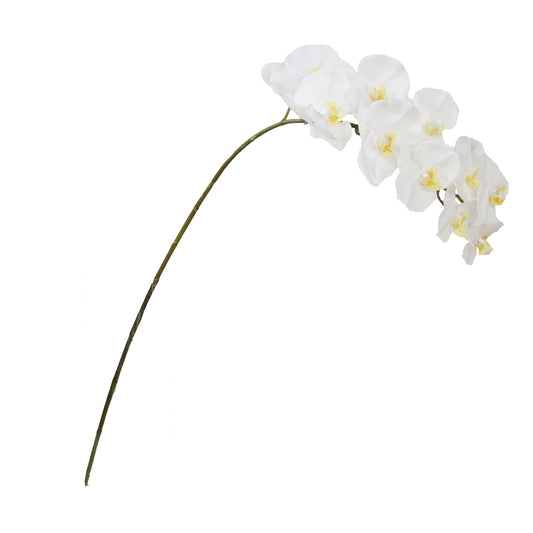 105cm Artificial Real Touch Phalaenopsis Orchid Cream