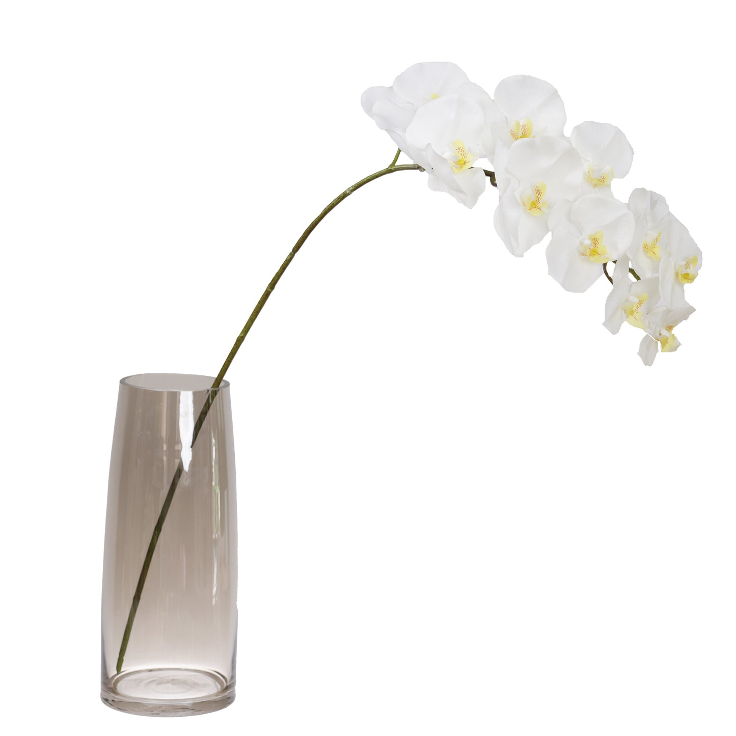 105cm Artificial Real Touch Phalaenopsis Orchid Cream