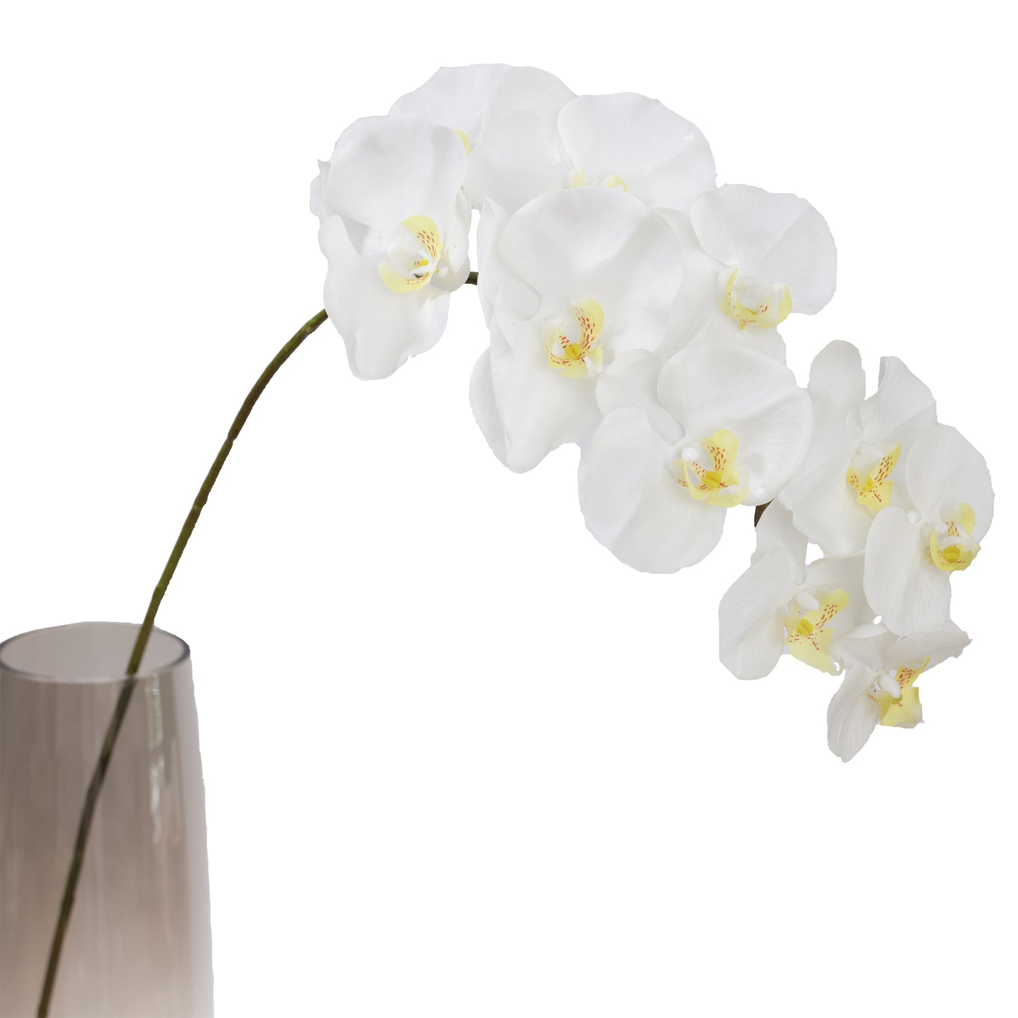 105cm Artificial Real Touch Phalaenopsis Orchid Cream