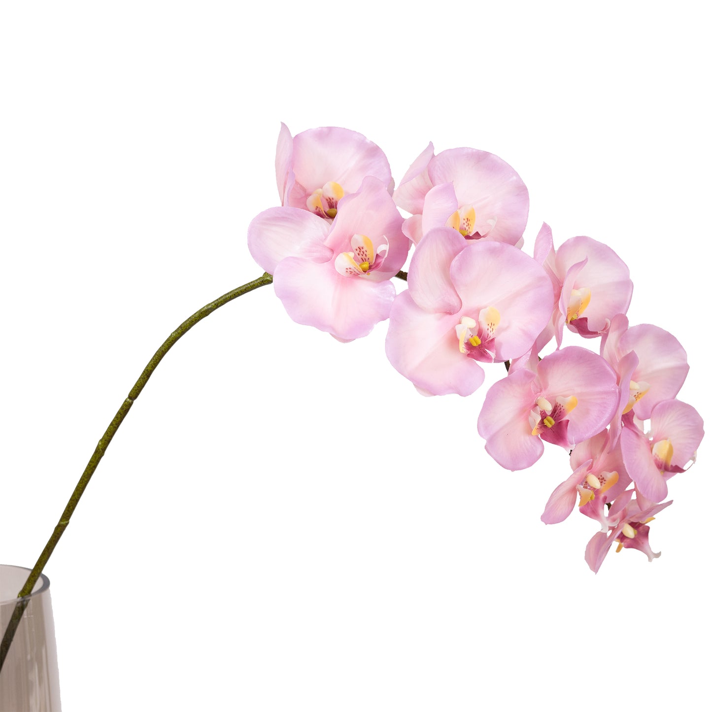 105cm Artificial Real Touch Phalaenopsis Orchid Mauve