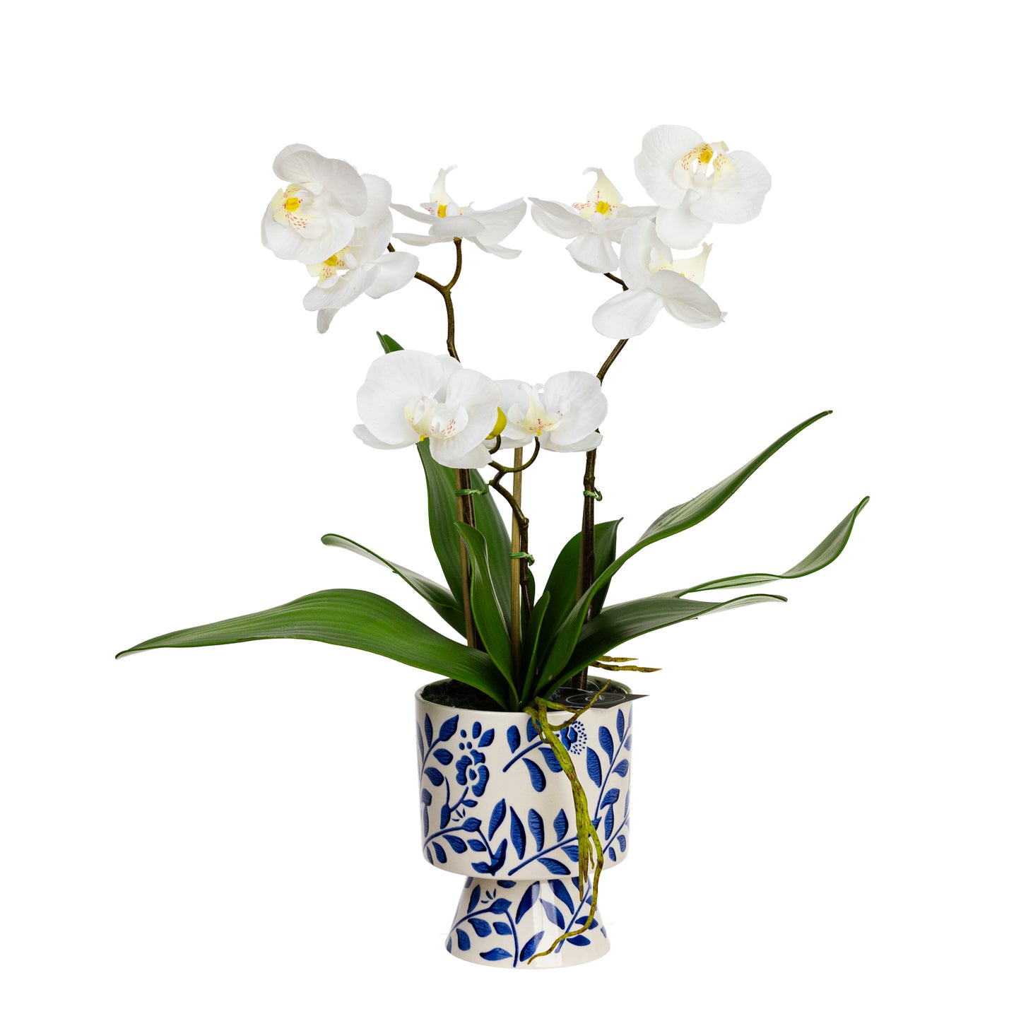 72cm Artificial Orchid in Hampton Vase