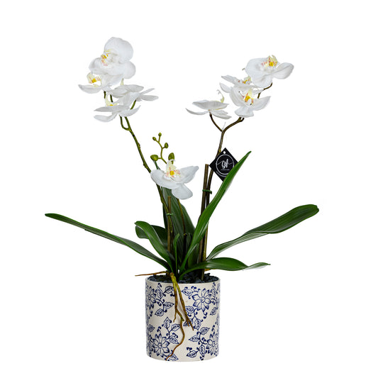 55cm Artificial Orchid in Hampton Pot