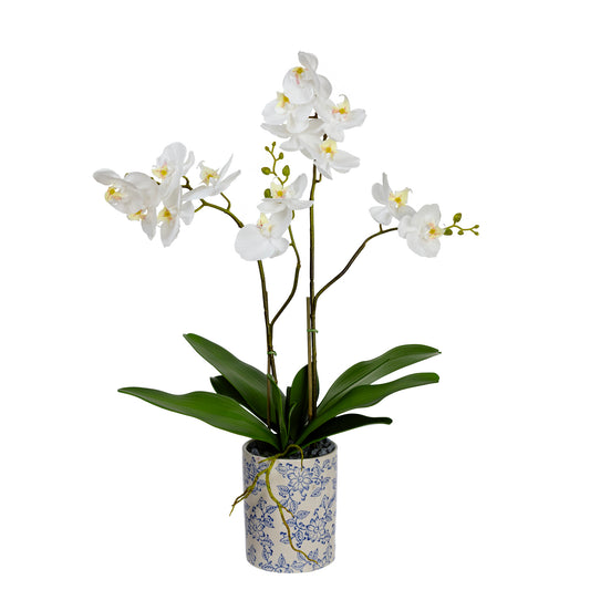 74cm Artificial Orchid in Hampton Pot