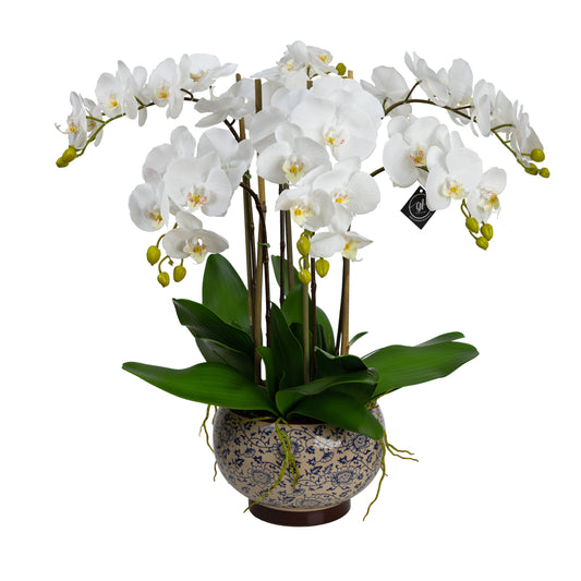 72cm Artificial Orchid in Hampton Bowl