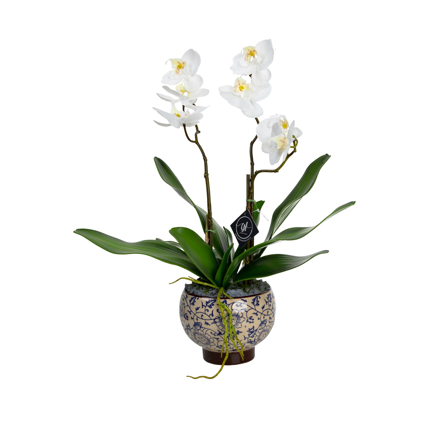 52cm Artificial Orchid in Hampton Bowl