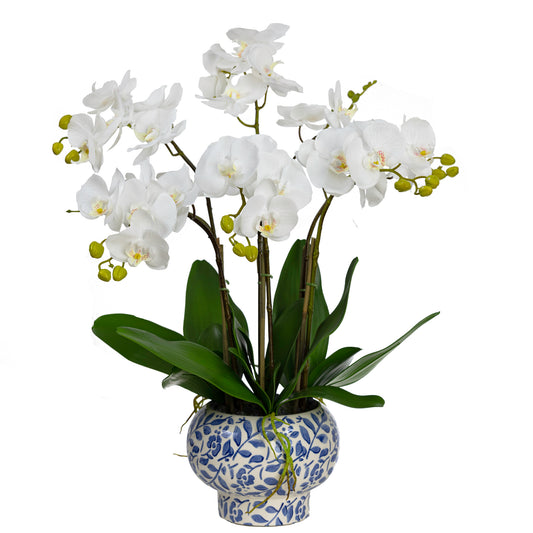 72CM ORCHID IN HAMPTON BOWL