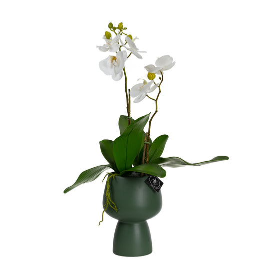 70cm Artificial Orchid in Green Pedestal Vase