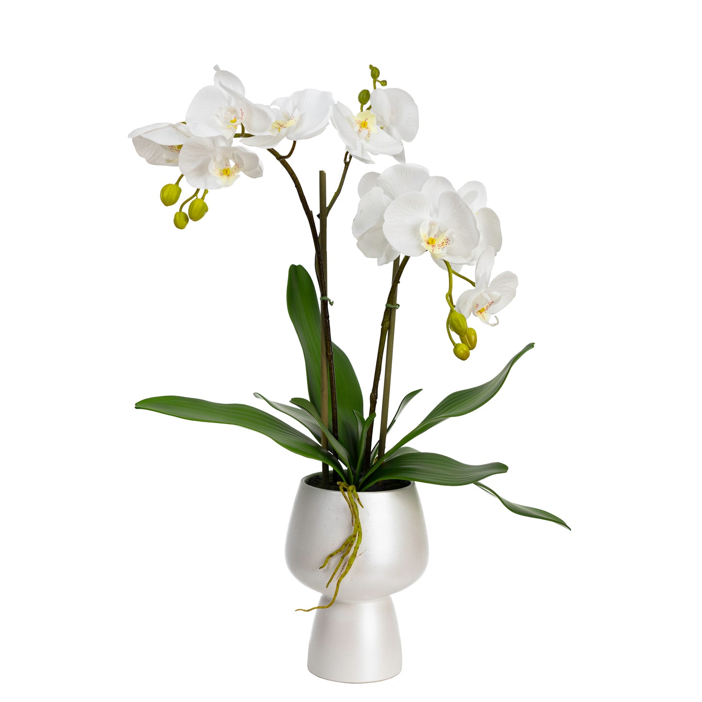 70cm Artificial Orchid in White Pedestal Vase