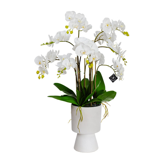 85cm Artificial Orchid in Pedestal Vase