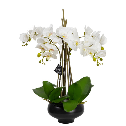 62cm Artificial Orchid in Pedestal Bowl