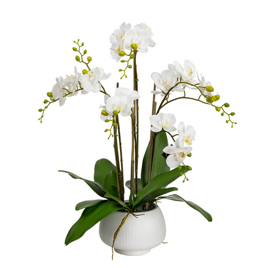 78cm Artificial Orchid in Ceramic White Bowl