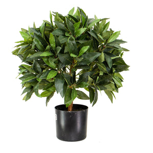 Open image in slideshow, Bay Leaf Ball Topiary Tree
