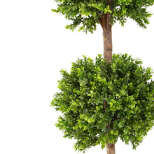 Load image into Gallery viewer, Boxwood Double Balls Tree
