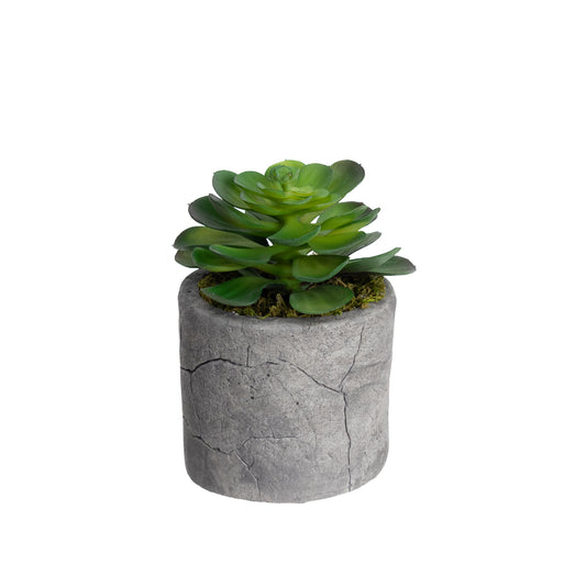 Glamorous Fusion 28cm Echeveria in Pot - Artificial Flower Arrangements and Artificial Plants