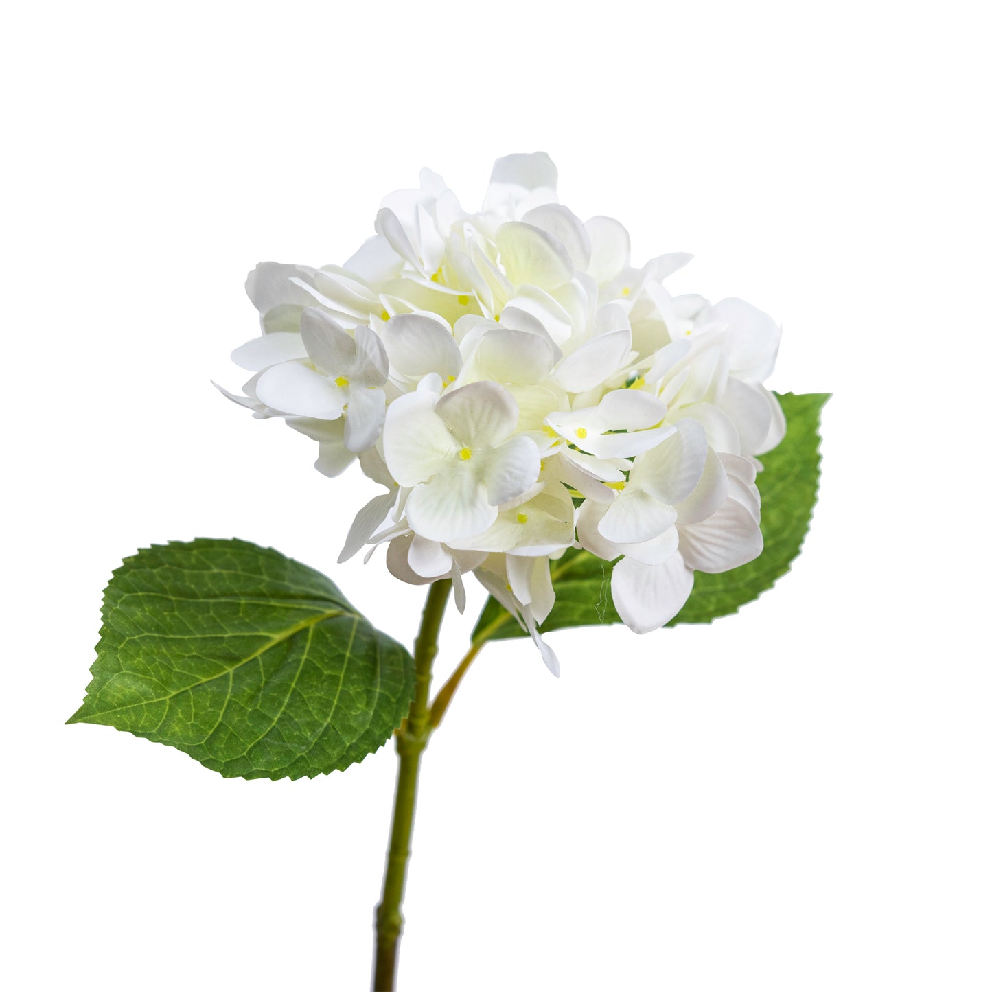 55cm Artificial Hortensia Spray with Leaf White