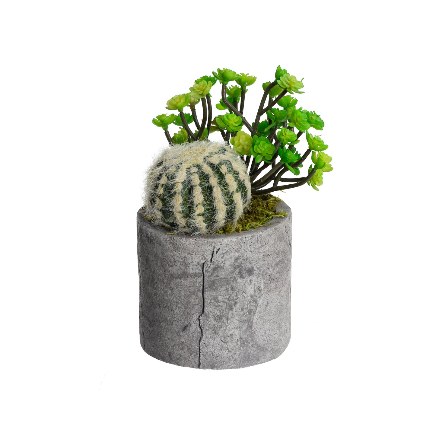 Glamorous Fusion 28cm Mixed Succulent in Pot - Artificial Flower Arrangements and Artificial Plants