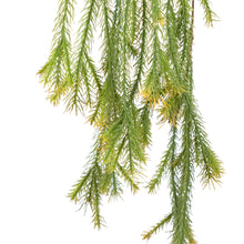 Load image into Gallery viewer, Pine Hanging Branch
