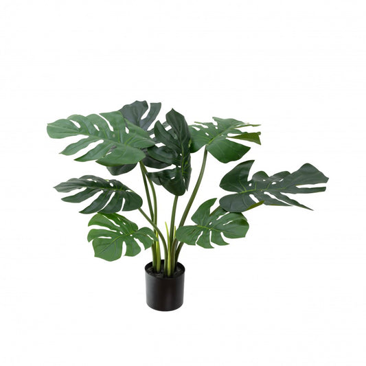 Glamorous Fusion 60cm Monstera plant - Artificial Flower Arrangements and Artificial Plants