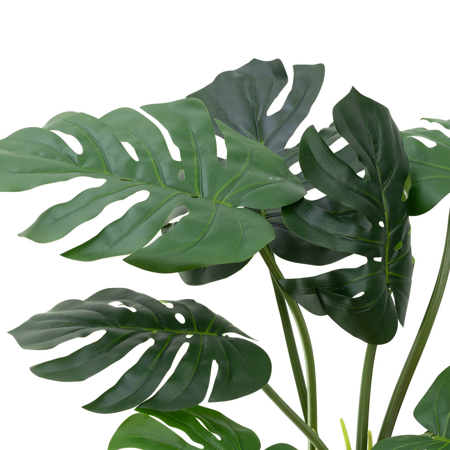 Glamorous Fusion 60cm Monstera plant - Artificial Flower Arrangements and Artificial Plants