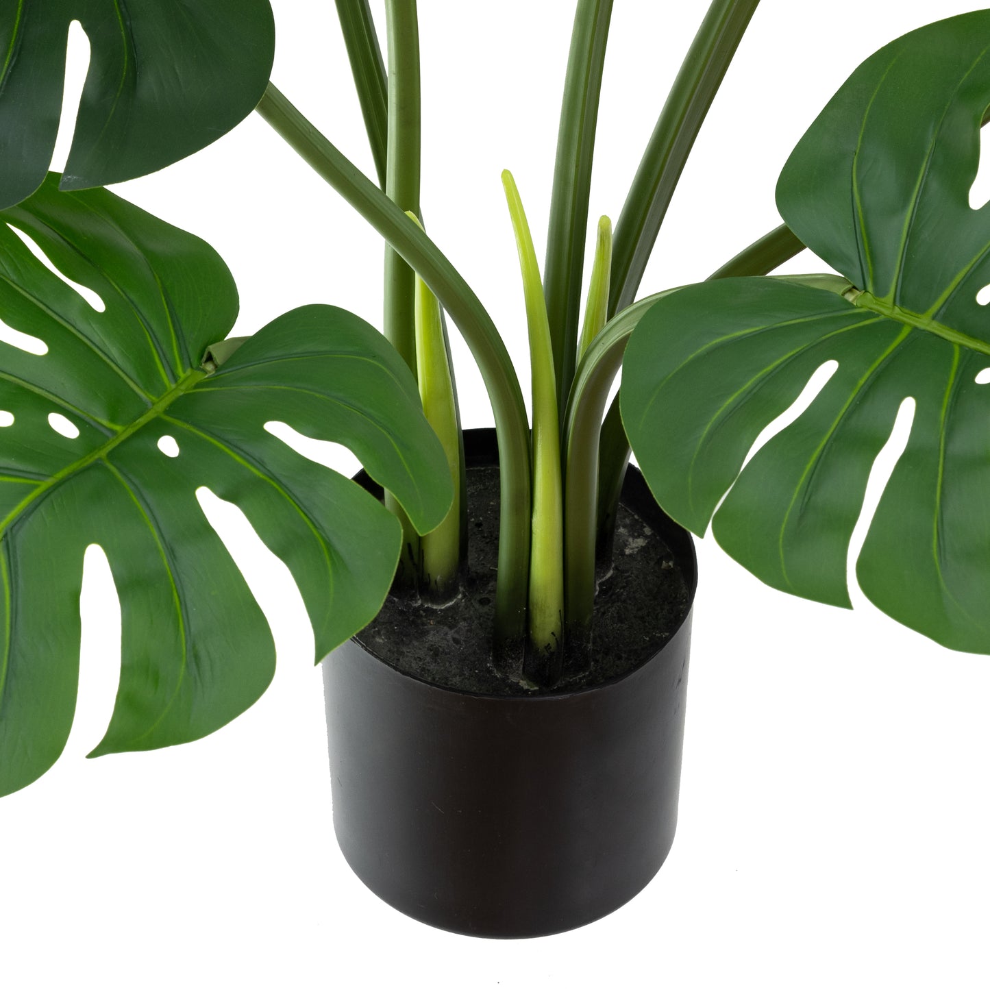 Glamorous Fusion 60cm Monstera plant - Artificial Flower Arrangements and Artificial Plants