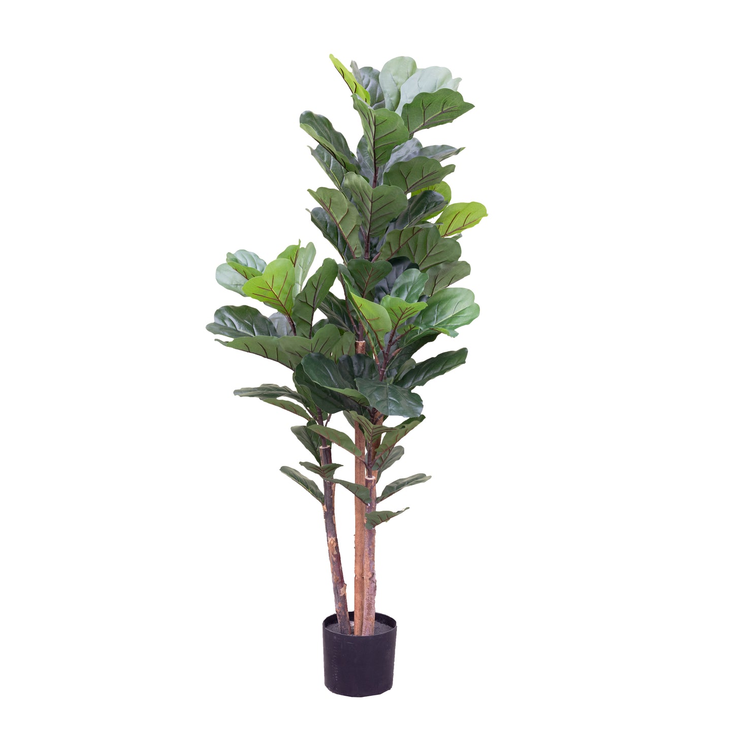 150cm Artificial Fiddle Tree in Pot