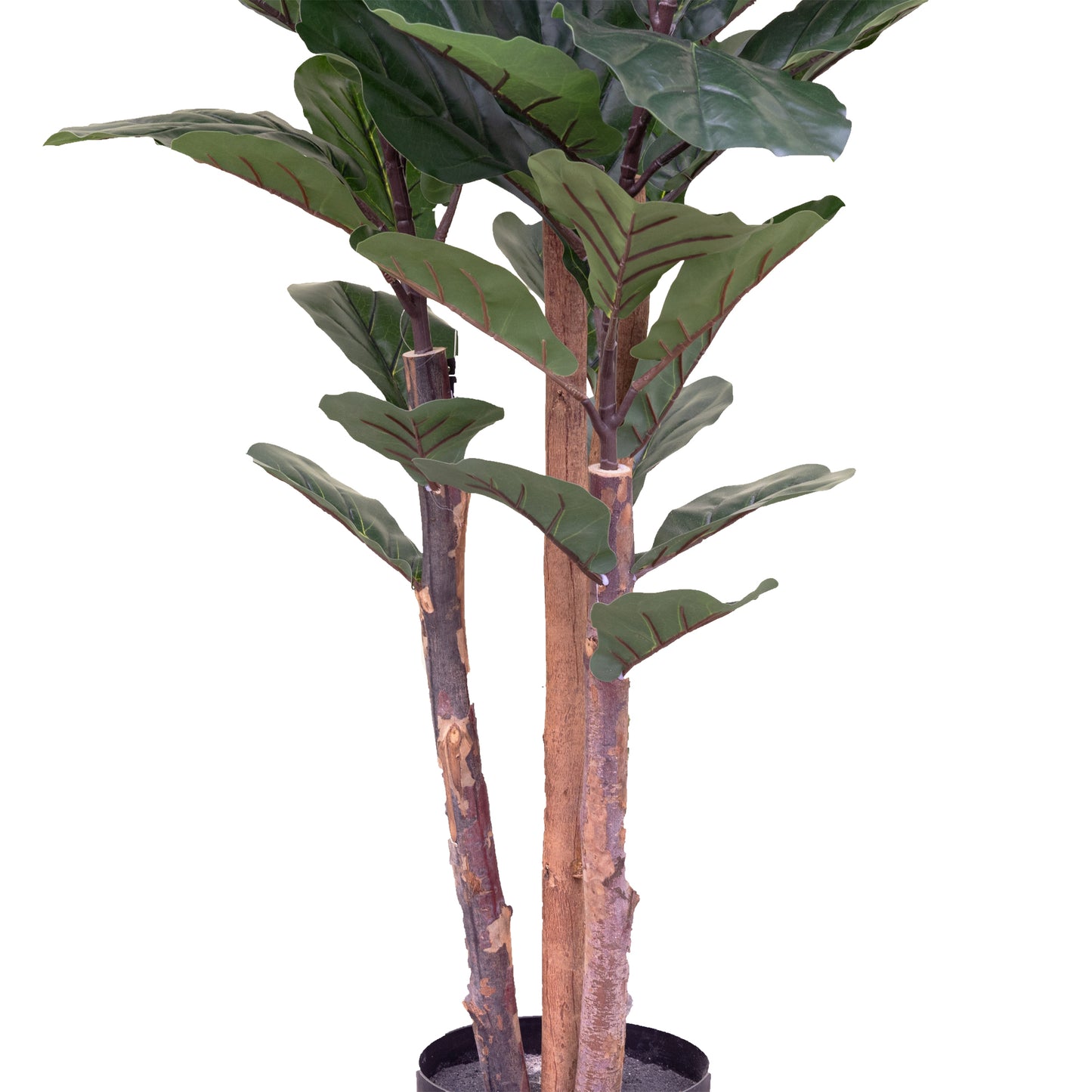 150cm Artificial Fiddle Tree in Pot