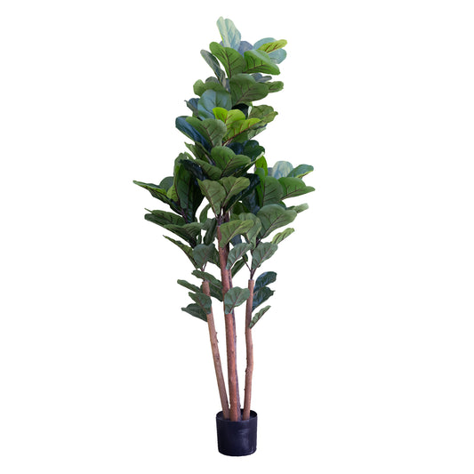 180cm Artificial Fiddle Tree in Pot