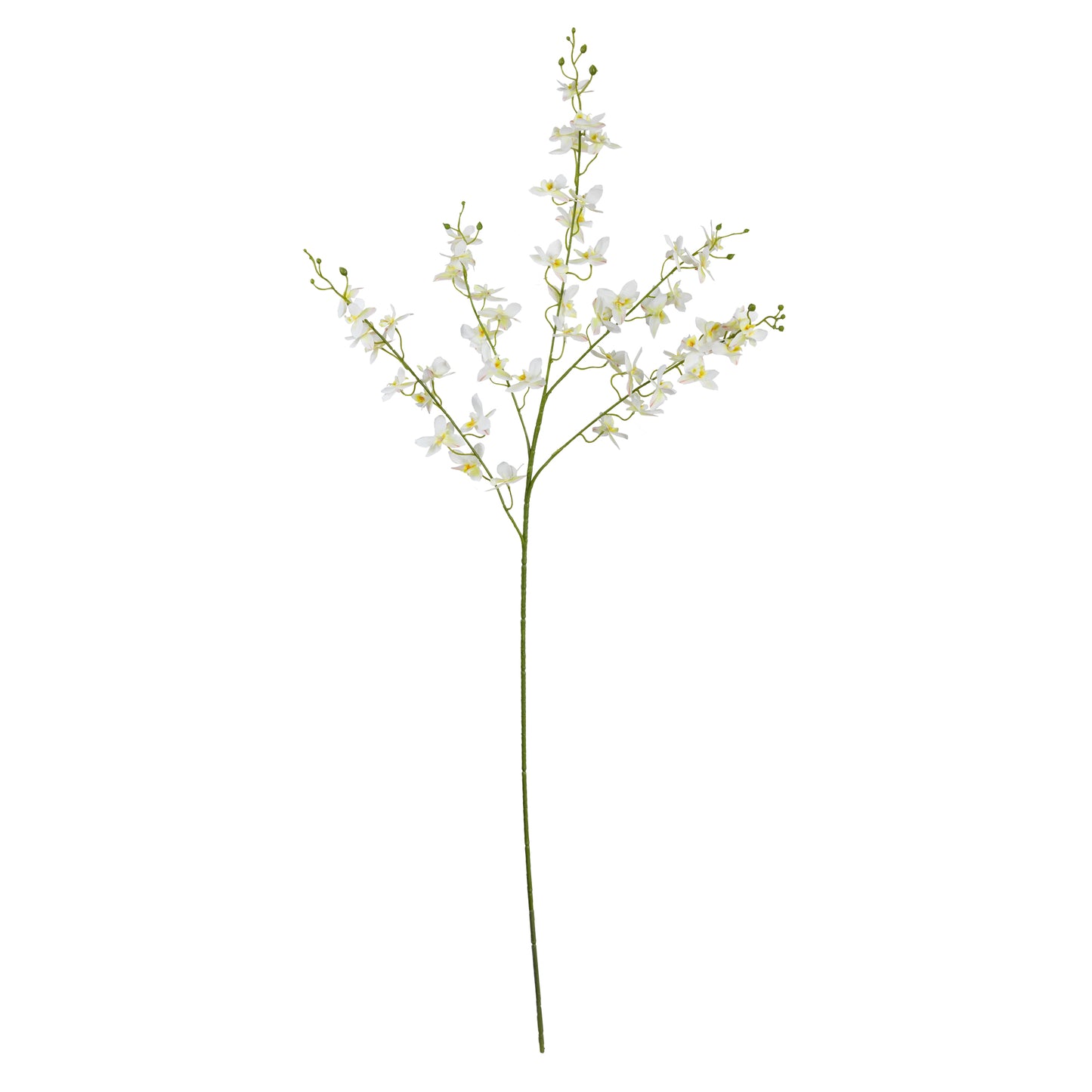 100cm Artificial Dancing Lady Orchid Cream