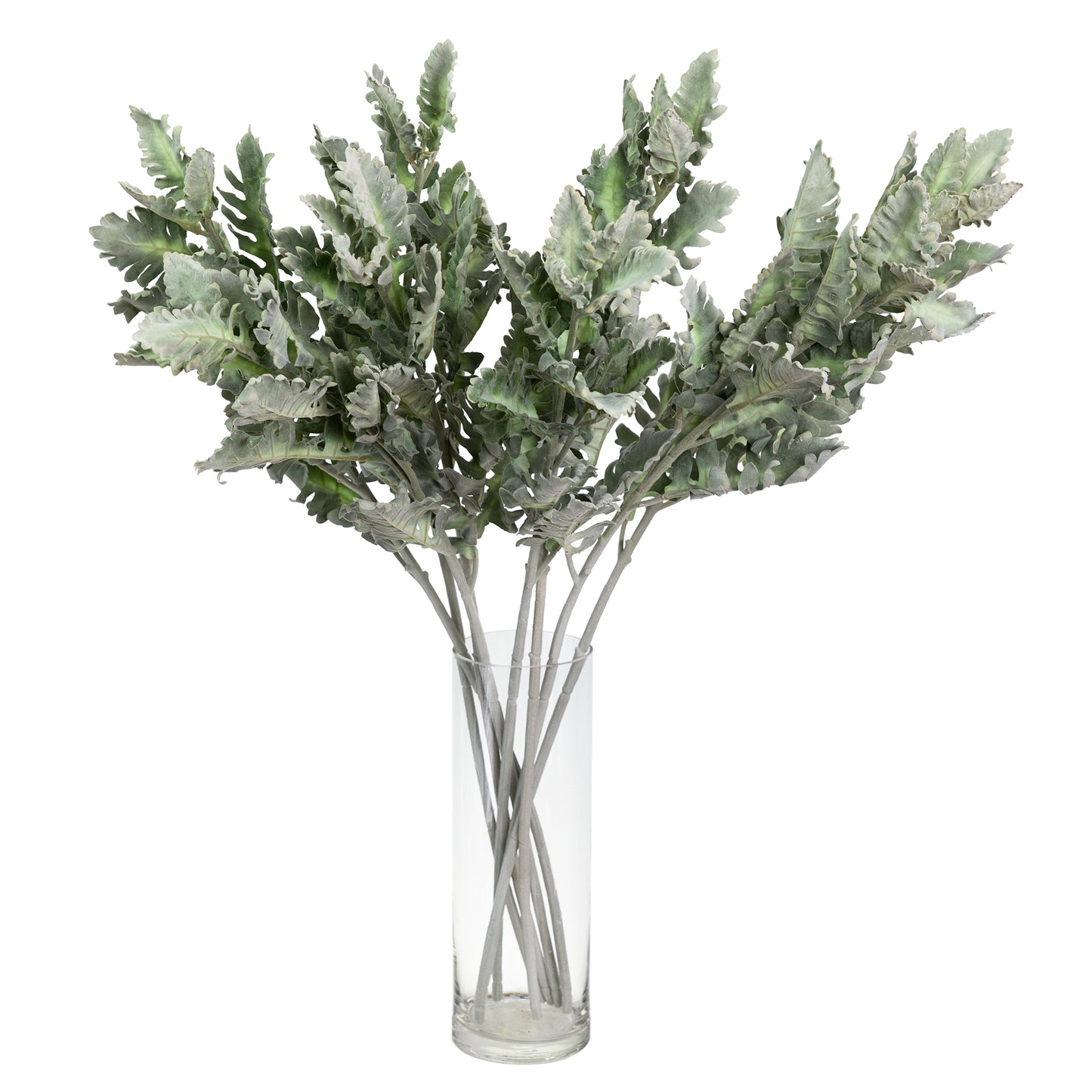 Dusty Miller Spray