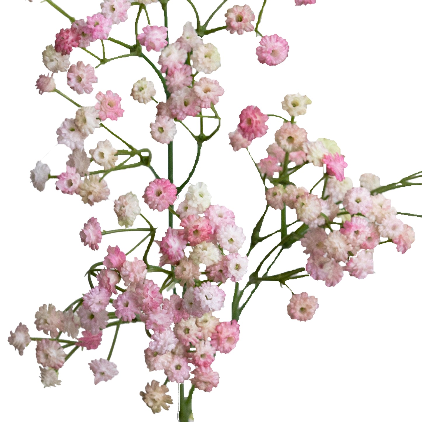 65cm Artificial Baby's Breath Spray Light Pink