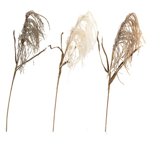 Dried Look Weeping Pamper Grass