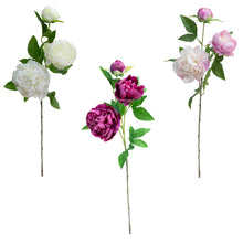 Load image into Gallery viewer, Peony Spray
