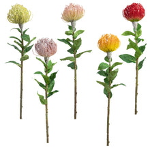 Load image into Gallery viewer, Flocked Leucospermum
