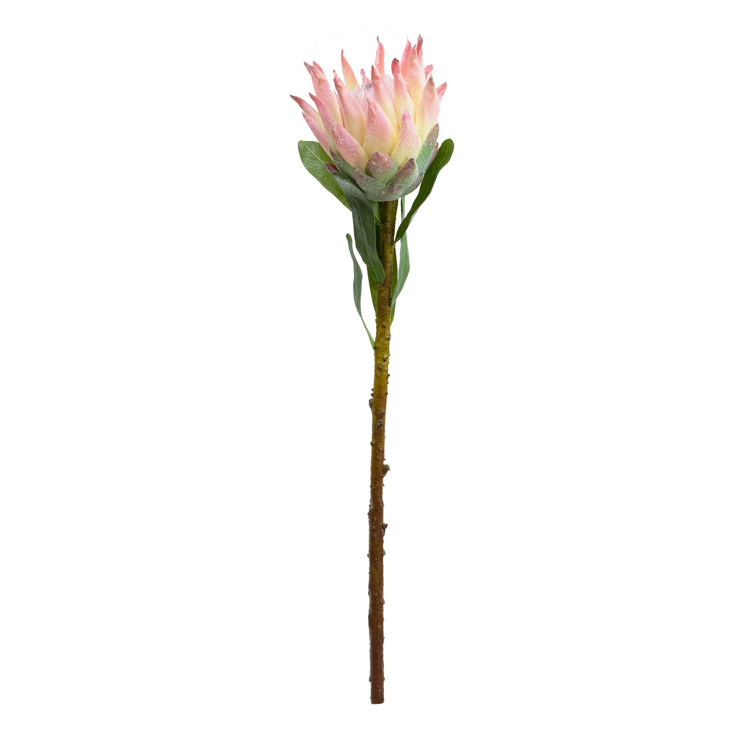 72cm Artificial Queen Protea Pink