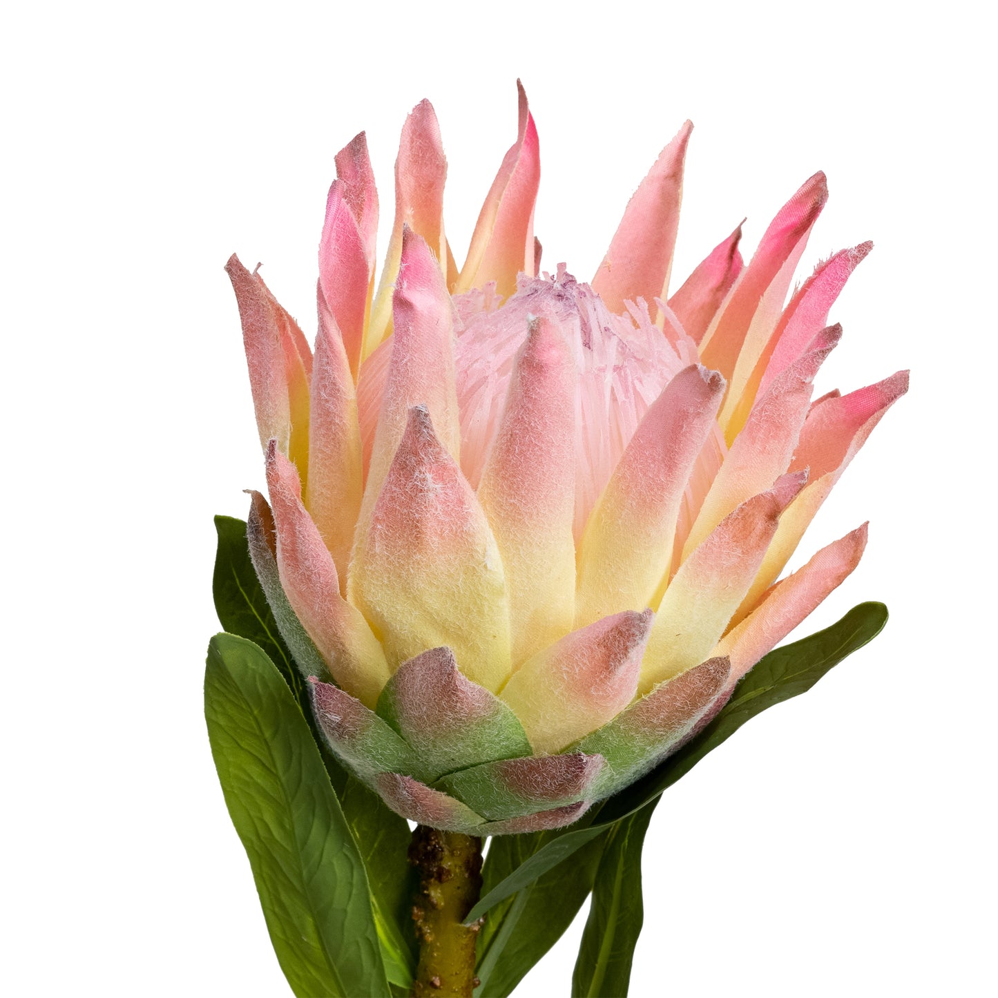 72cm Artificial Queen Protea Pink