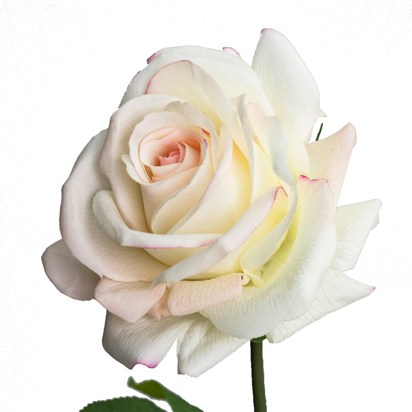 75cm Artificial Real Touch Single Rose Cream Pink