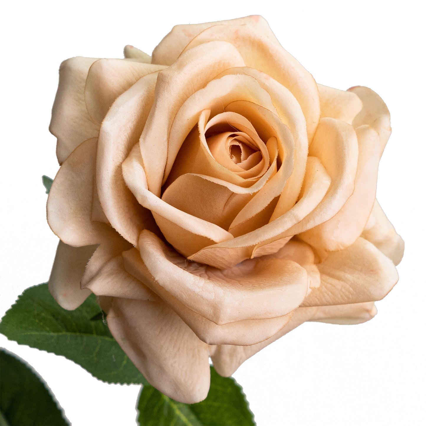 75cm Artificial Real Touch Single Rose Latte